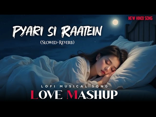 Pyari si Raatein Lofi  Mashup | Mind Relaxing Lofi Mashup