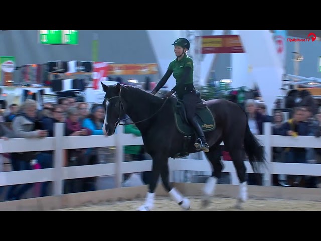 Pferd&Jagd 2016 Reiten von Innen heraus - Andrea Bethge