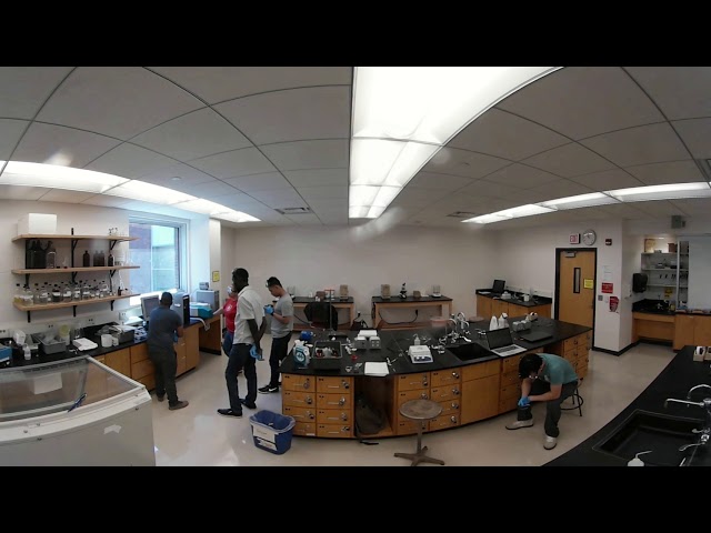 NHCC students in the SCSU chemistry lab