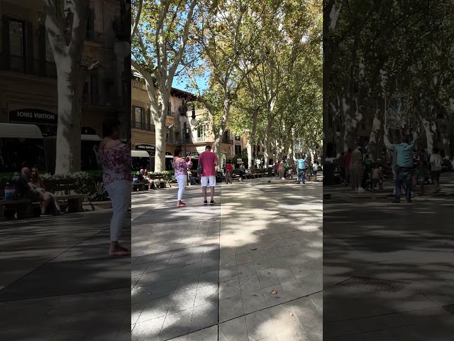 Majestic city of Palma in Mallorca on a hot day people enjoying the day to the max😎😍 #citylife