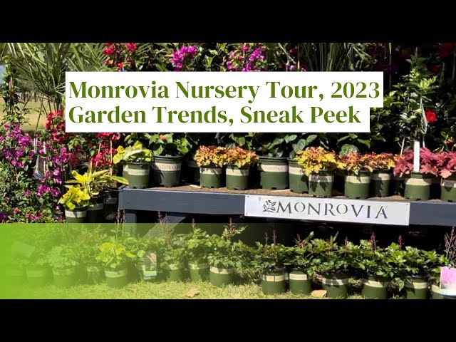 Monorvia Nursery Tour, Garden Trends, Sneak Peek at What I Brought Home #gardening  @MonroviaPlants