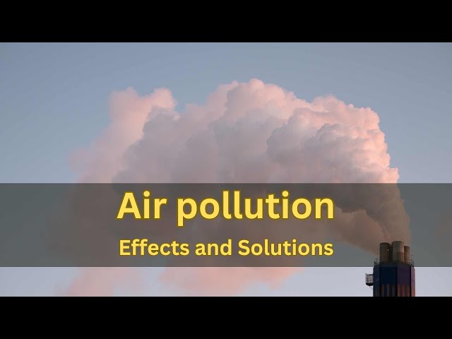 Different Types of Air Pollution: Their Effects and Solutions