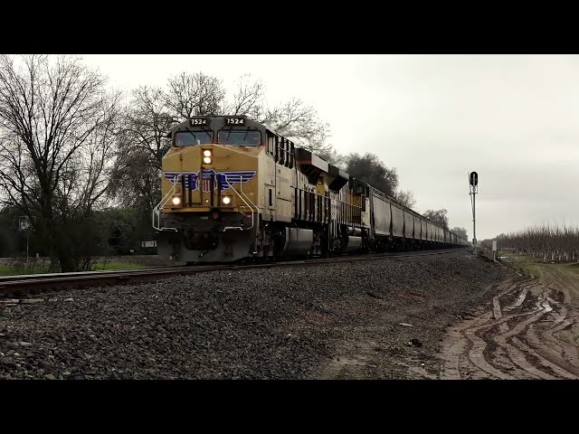 Union Pacific Trains in Gridley and Chico