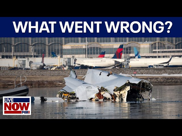 DC plane crash, what went wrong? | LiveNOW from FOX