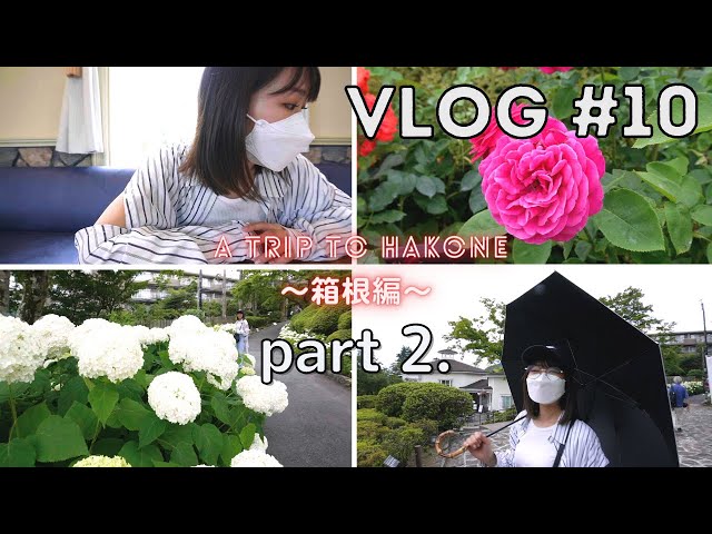 🚗Vlog#10 : Off we go to Hakone! part.2