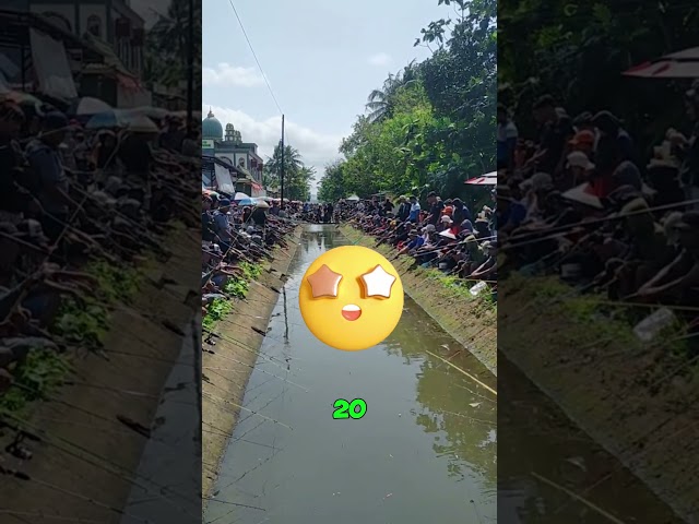 A Crazy Fishing Competition! 🏆