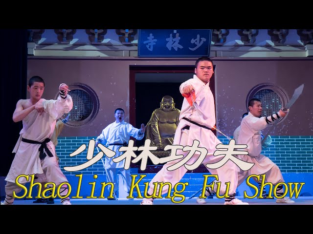 少林功夫十八般武艺精彩绝伦台下掌声不断  Shaolin Kung Fu Show VR180