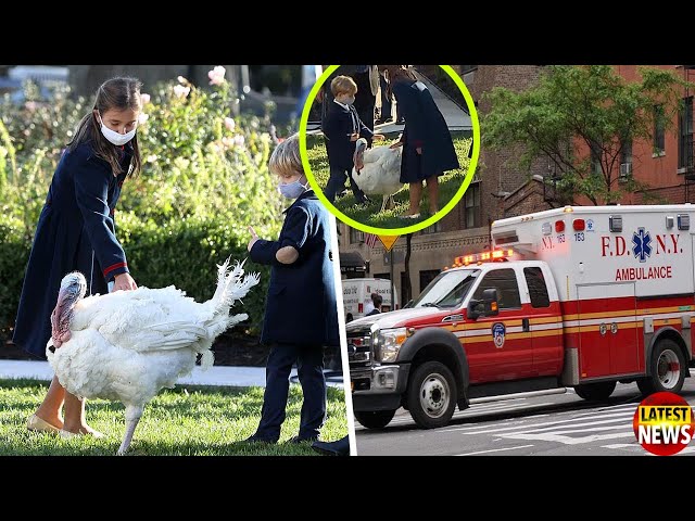 Ivanka's kids are suddenly a.ttacked by White House turkey Corn at annual pardon ceremony