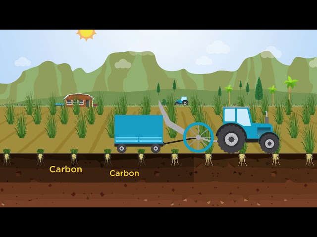 Soil carbon drawdown: How?