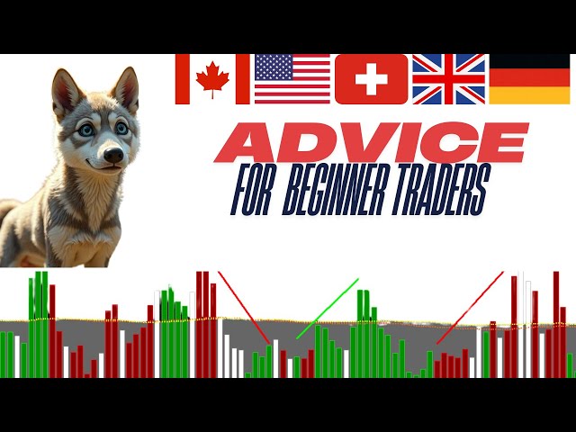 Advice for  beginner traders-stock market for beginners