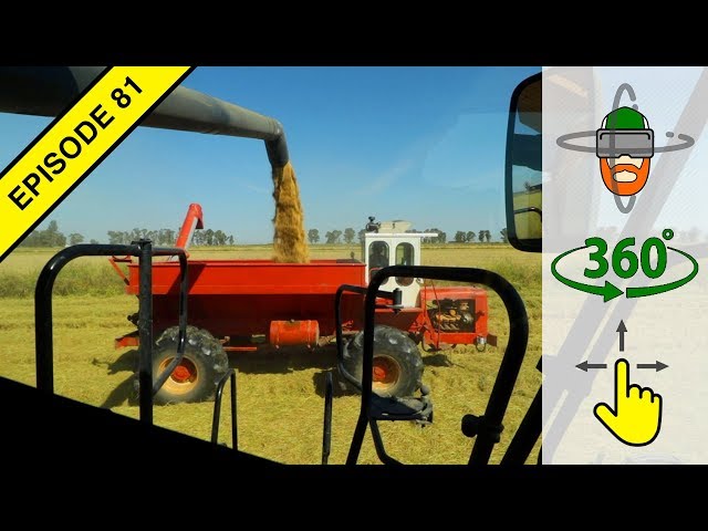 Harvesting Rice in Virtual 360º Action! | Harvest 2018