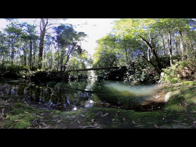 Outdoor nature environment - 360 Video [Royalty Free Stock Footage] $350