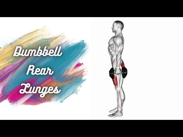 Dumbbell Rear Lunge l squats dumbbell