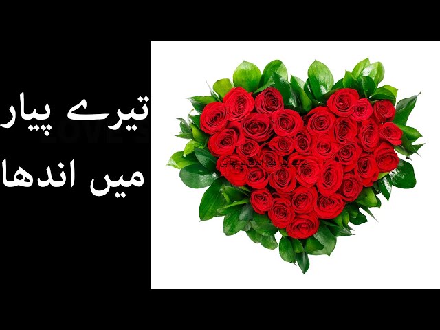 Acchi Acchi Shayari | Acche Acche Shayari | Sher Shayari | Shero Shayari | Urdu Shayari