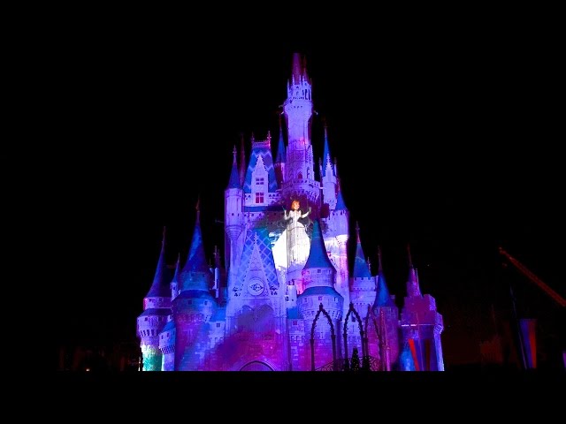 Celebrate The Magic! at Magic Kingdom 2015