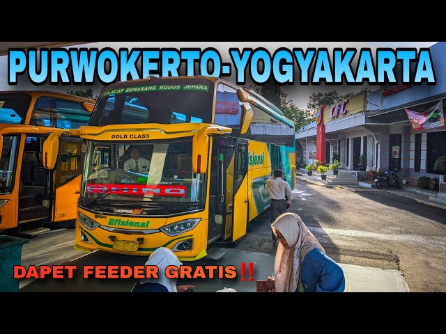 DAPET ANGKUTAN GRATIS KE KOTA JOGJA‼️ || Bus Efisiensi Purwokerto-Yogyakarta