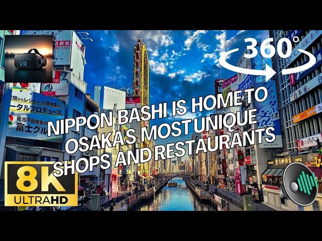 Japan, Osaka, Nipponbashi Den-Den Town - Part 1/2 - Best Apple/Quest 3 Travel 8K 360 VR Experience