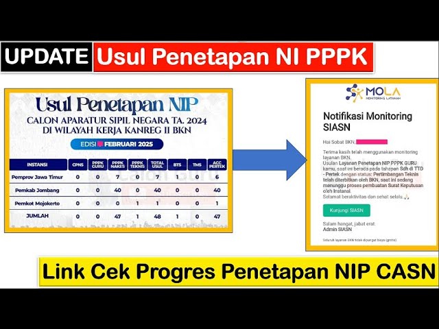 UPDATE Progress Usul Penetapan NI PPPK pada Link Cek Progres Penetapan NI PPPK 2024