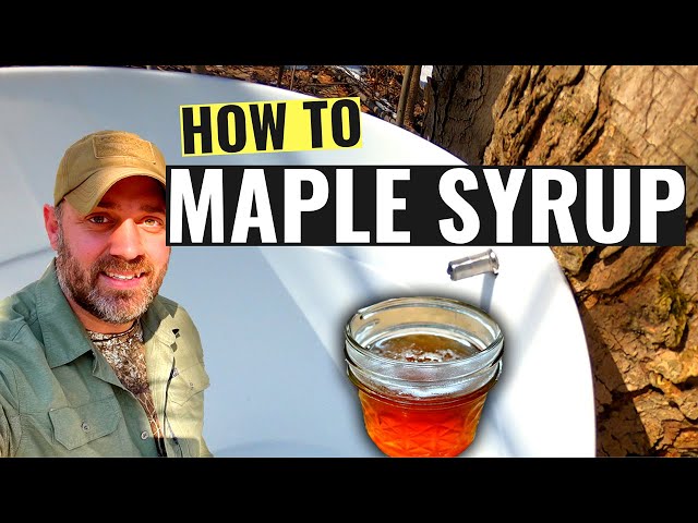 Making Maple Syrup at Home | How to Make Maple Syrup | Off Grid Homesteading - Part 1