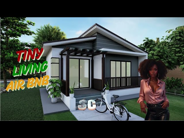 new age video tiny living