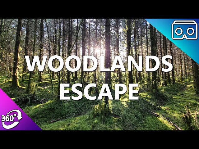 Escape to the Woods - 360 VR 4K