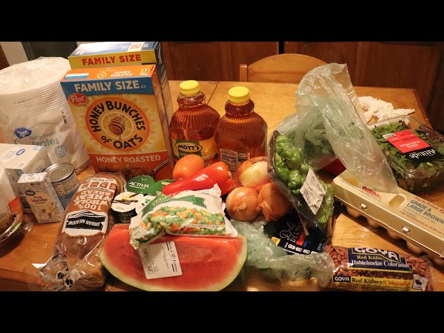 Wic Grocery Haul @ Gala Foods + Walmart Haul