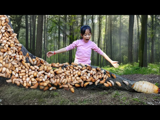 Harvesting Giant Primordial Larvae and Go to Market Sell | Poor Girl bitten by many larvae