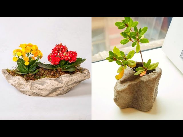 Marvellous and Trending Stone & indoor plants Corner plants Decoration ideas