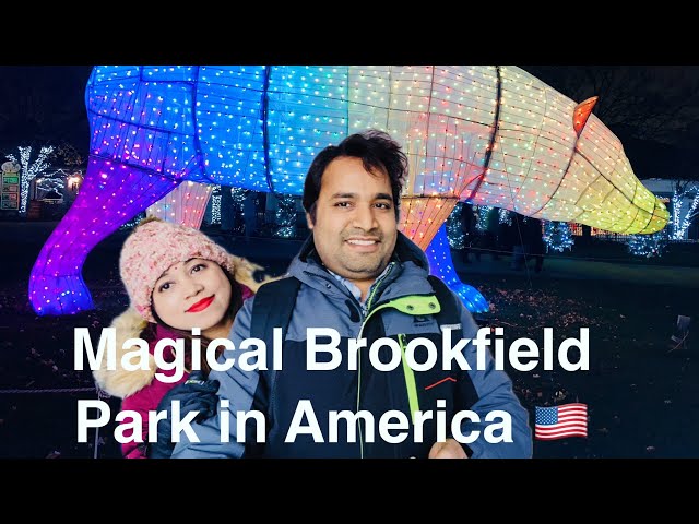 "Enchanting Night: The Magical Light Show at Brookfield Park, Chicago!"America🇺🇸