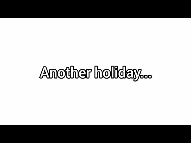 Yet another holiday video...