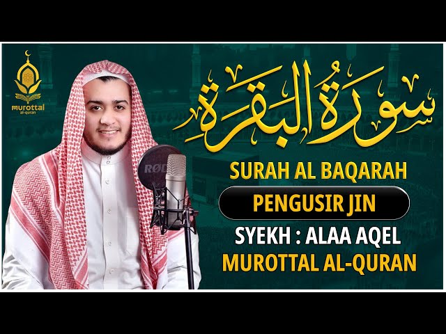 SURAH AL BAQARAH by ALAA AQEL - Setan kabur Dari Rumah - Penenang Hati dan Pikiran