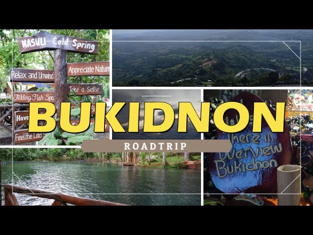 BUKIDNON ROADTRIP WITH FRIENDS PART 1 | KRISTINA LIGAYA | Day Off Diaries