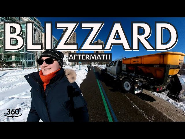 Toronto Blizzard Aftermath - A Walk in Humber Bay | Humber Bay Arch Bridge