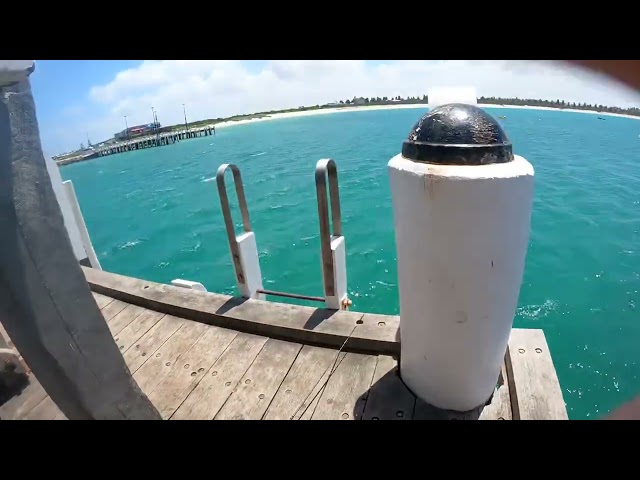 Fishing Warrnambool breakwater (Snapper) (kg whiting)