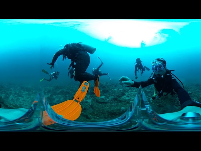 Pulau Kapas Diving 綿花島船潛 partⅠ