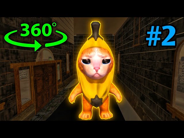 Banana Cat Finding Challenge #2 But It's 360 degree video