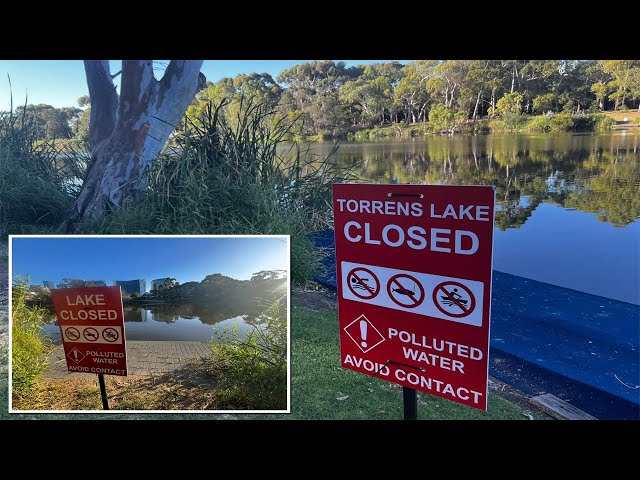 Residents warned to avoid popular Australian lake after gross discovery