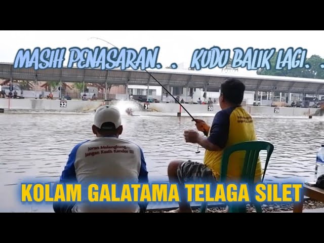 MASIH PENASARAN SAMA KOLAM INI... ll KOLAM GALATAMA IKAN MAS TELAGA SILET BOGOR