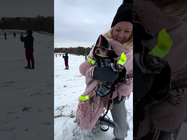 Snow Day Fun at Buffalo Bayou Park | Paco’s Neon Green Adventure in Houston!