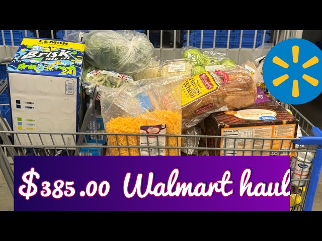 $385 Food stamp GROCERY HAUL - What I Bought for the month 🤑🛒