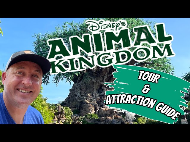 Disney’s Animal Kingdom TOUR & ATTRACTION GUIDE | Disney World 2023