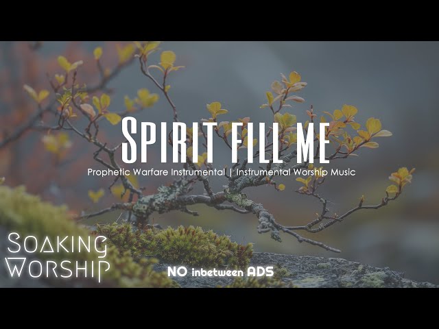 Spirit Fill me, Instrumental Soaking Worship Music, Worship Instrumental Soaking Music