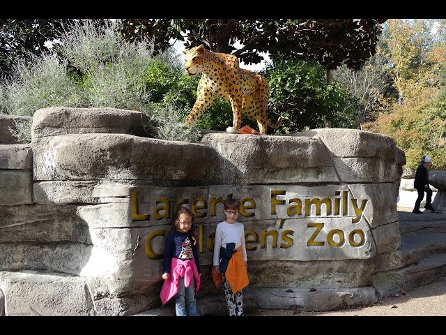 Dallas Zoo in vr180 with the twins, Elephants and more