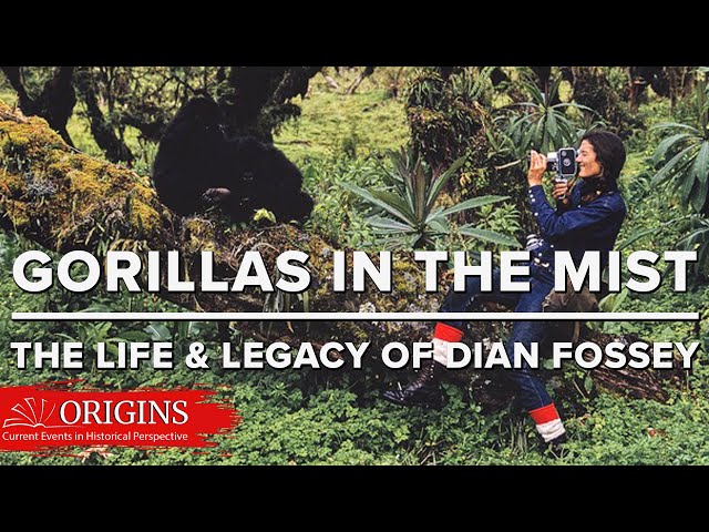 Gorillas in the Mist: The Life and Legacy of Dian Fossey