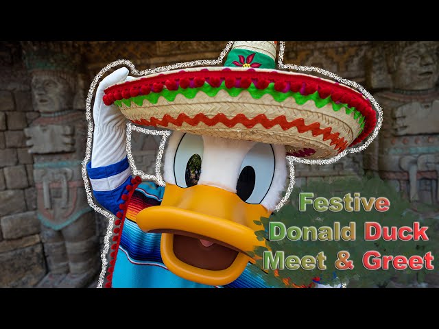 8K Donald Duck Meet & Greet during Festival of the Holidays at Epcot in 3D VR180