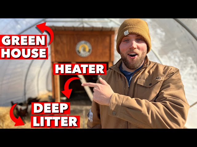 The ULTIMATE Winter Greenhouse Chicken Coop