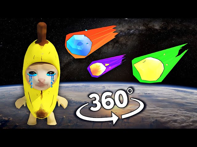 Banana Cat But It's 360 degree video | Happy Happy cat #2