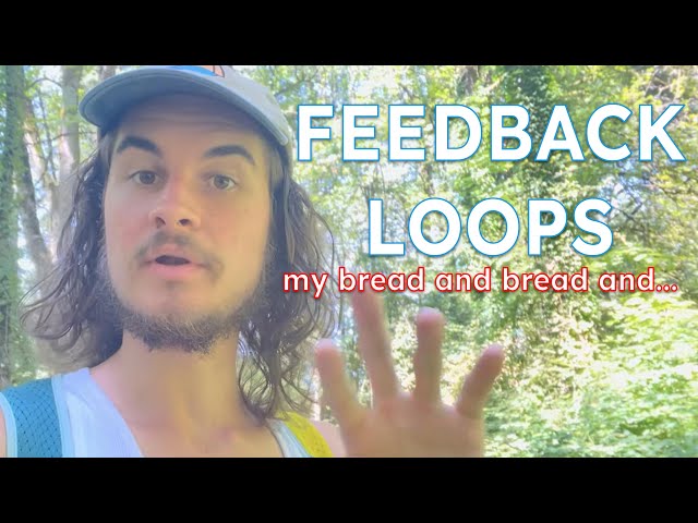 Feedback Loops || Systems Theory