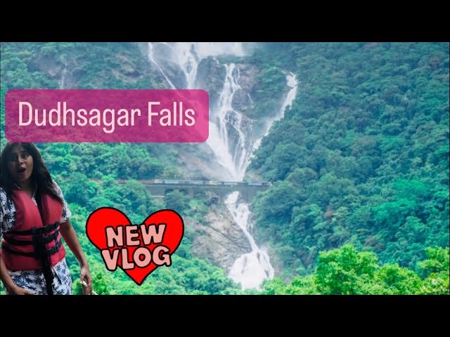 live Dudhsagar Waterfalls one of the best tourist attraction of India. 🇮🇳