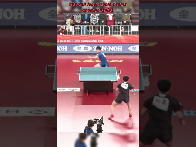 🏓🔥 "UNREAL RALLY! Harimoto vs Matsushima SHOT OF THE YEAR? 😱 | 2025 Japan Championships Shorts.